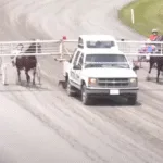 Woodstock Driving Club, harness racing community supports family after death of toddler